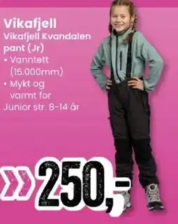 Sport Outlet Vikafjell Vikafjell Kvandalen pant (Jr) tilbud