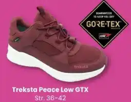 Sport Outlet Treksta Peace Low GTX tilbud