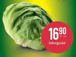 CC Mat Isbergsalat tilbud