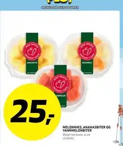 Bunnpris MELONMIKS, ANANASBITER OG VANNMELONBITER tilbud