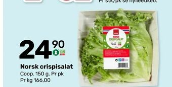 Coop Marked Norsk crispisalat tilbud
