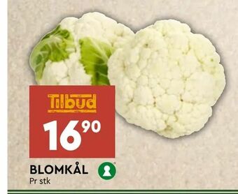 Coop Mega Blomkål tilbud