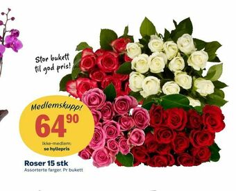 Coop Extra Roser 15 stk tilbud