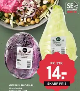 Meny Gestus spidskål tilbud