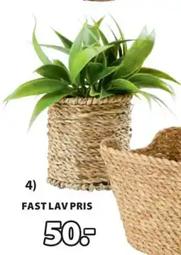 JYSK BERTRAM kunstig plante tilbud