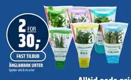Coop Obs ÄNGLAMARK URTER tilbud