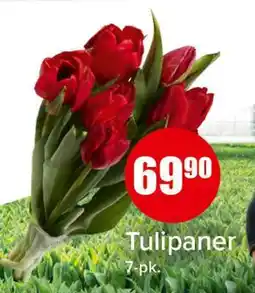 Spar Tulipaner tilbud