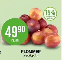 Kiwi PLOMMER tilbud