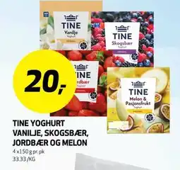Bunnpris TINE YOGHURT VANILJE, SKOGSBÆR, JORDBÆR OG MELON tilbud