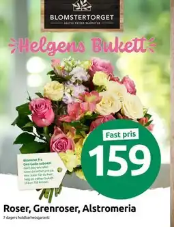 Joker Roser, Grenroser, Alstromeria tilbud