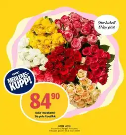 Coop Prix ROSER 14 STK, Medlemspris tilbud
