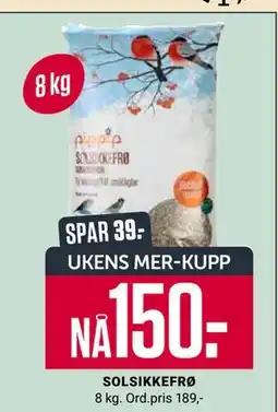 Europris SOLSIKKEFRØ, App-pris tilbud