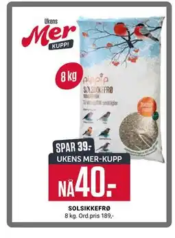 Europris SOLSIKKEFRØ, App-pris tilbud