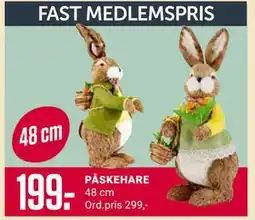 Europris PÅSKEHARE, Medlemspris tilbud