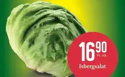 CC Mat Isbergsalat tilbud