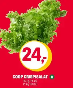 Coop Extra Coop crispisalat tilbud