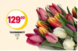 Coop Extra Tulipanbukett tilbud