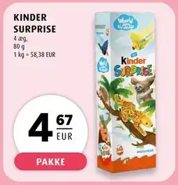Scandinavian Park KINDER SURPRISE, EUR 4.67 tilbud