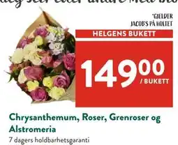 Jacobs Chrysanthemum, Roser, Grenroser og Alstromeria tilbud