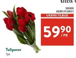 Jacobs Tulipaner tilbud
