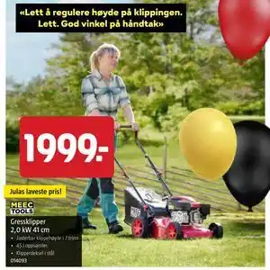 Gressklipper 2,0 kW 41 cm