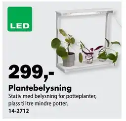 Biltema Plantebelysning tilbud