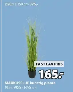JYSK MARKUSFLUE kunstig plante tilbud