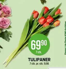 Kiwi TULIPANER tilbud