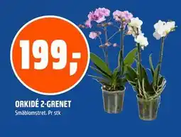 Coop Obs ORKIDÉ 2-GRENET tilbud