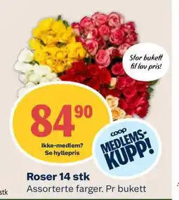 Coop Mega Roser 14 stk, Medlemspris tilbud