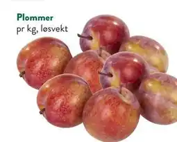 Jacobs Plommer tilbud