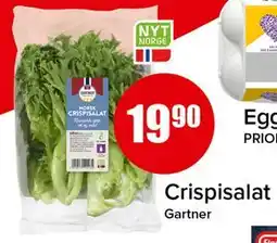 Spar Crispisalat tilbud