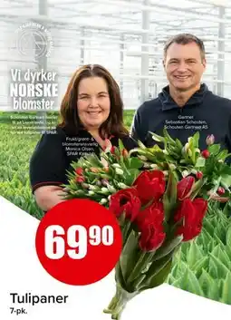 Spar Tulipaner tilbud