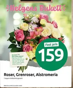Joker Roser, Grenroser, Alstromeria tilbud