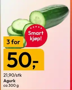 Gigaboks Agurk tilbud
