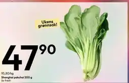 Gigaboks Shanghai pakchoi 500 g tilbud