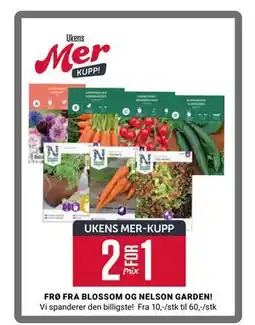 Europris FRØ FRA BLOSSOM OG NELSON GARDEN! tilbud