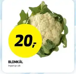 Bunnpris BLOMKÅL tilbud