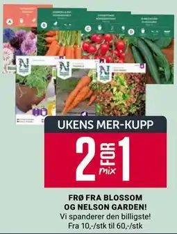 Europris FRØ FRA BLOSSOM OG NELSON GARDEN!, App-pris tilbud