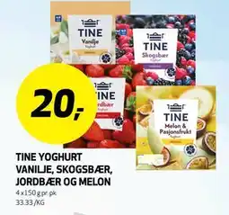 Bunnpris TINE YOGHURT VANILJE, SKOGSBÆR, JORDBÆR OG MELON tilbud