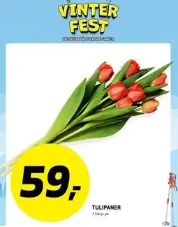 Bunnpris TULIPANER tilbud