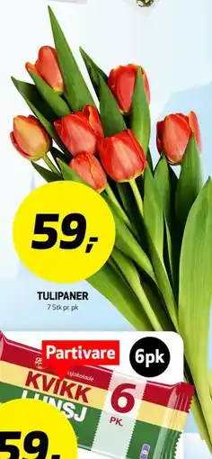 Bunnpris TULIPANER tilbud