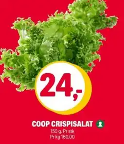 Coop Extra Coop crispisalat tilbud