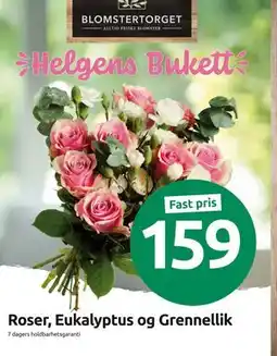 Joker Roser, Eukalyptus og Grennellik tilbud