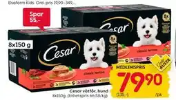 Rusta Cesar våtfôr, hund, Medlemspris tilbud