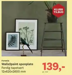 Bygger'n Walls2paint sponplate tilbud