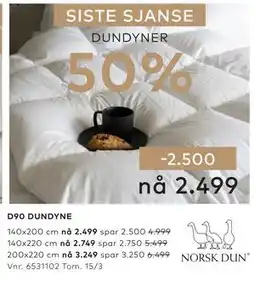 Skeidar D90 DUNDYNE tilbud