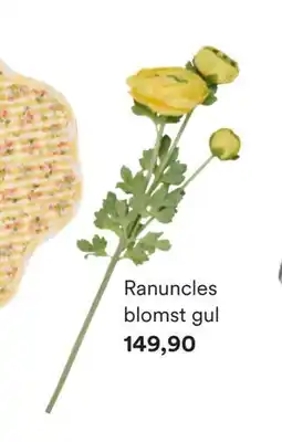 Kid Interiør Ranuncles blomst gul tilbud