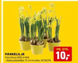 jem & fix PÅSKELILJE tilbud