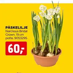 jem & fix PÅSKELILJE tilbud